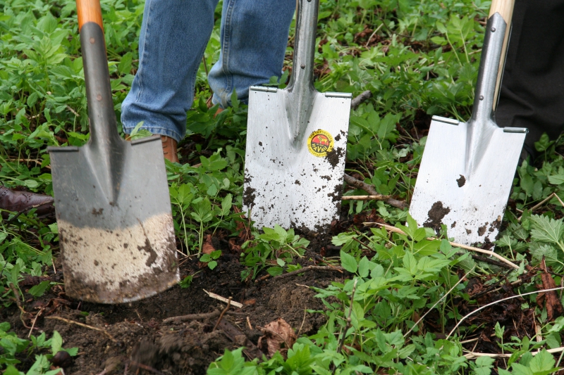 pepiniere-GRASSE-min_work-lawn-flower-tool-green-backyard-1103633-pxhere.com